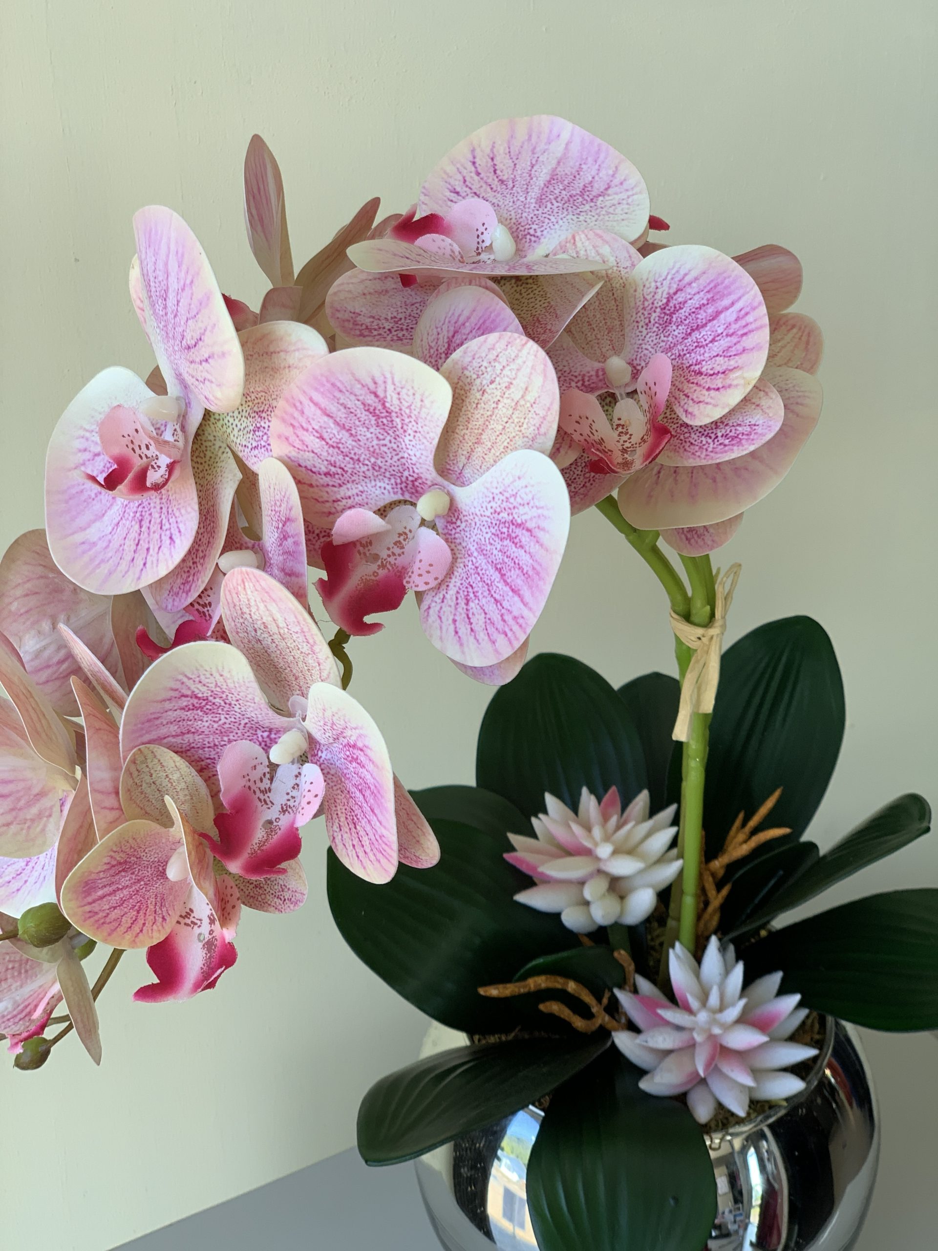 Arranjo de Orquídeas com Suculentas – FADA FLOR